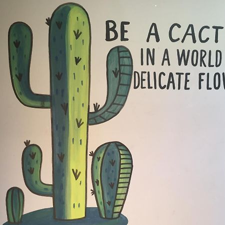Bajas Cactus Hostel Cabo San Lucas Exteriér fotografie