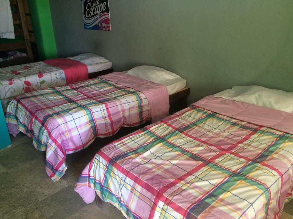 Bajas Cactus Hostel Cabo San Lucas Pokoj fotografie