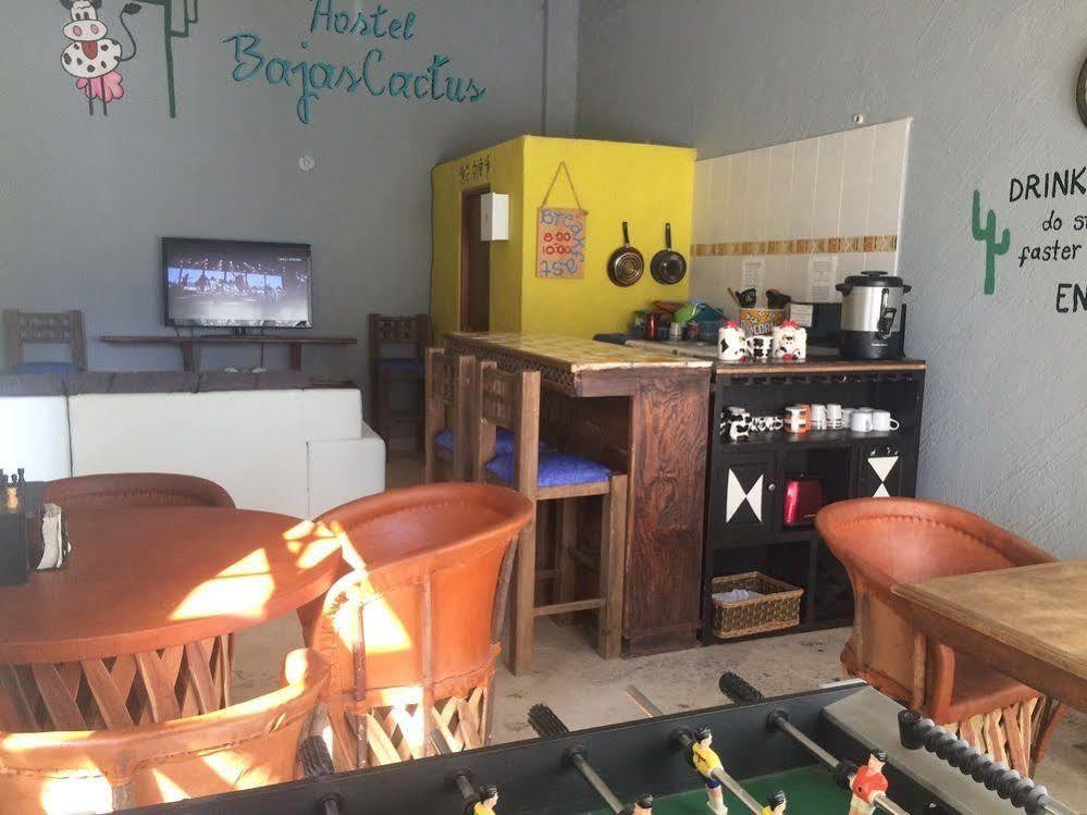 Bajas Cactus Hostel Cabo San Lucas Exteriér fotografie
