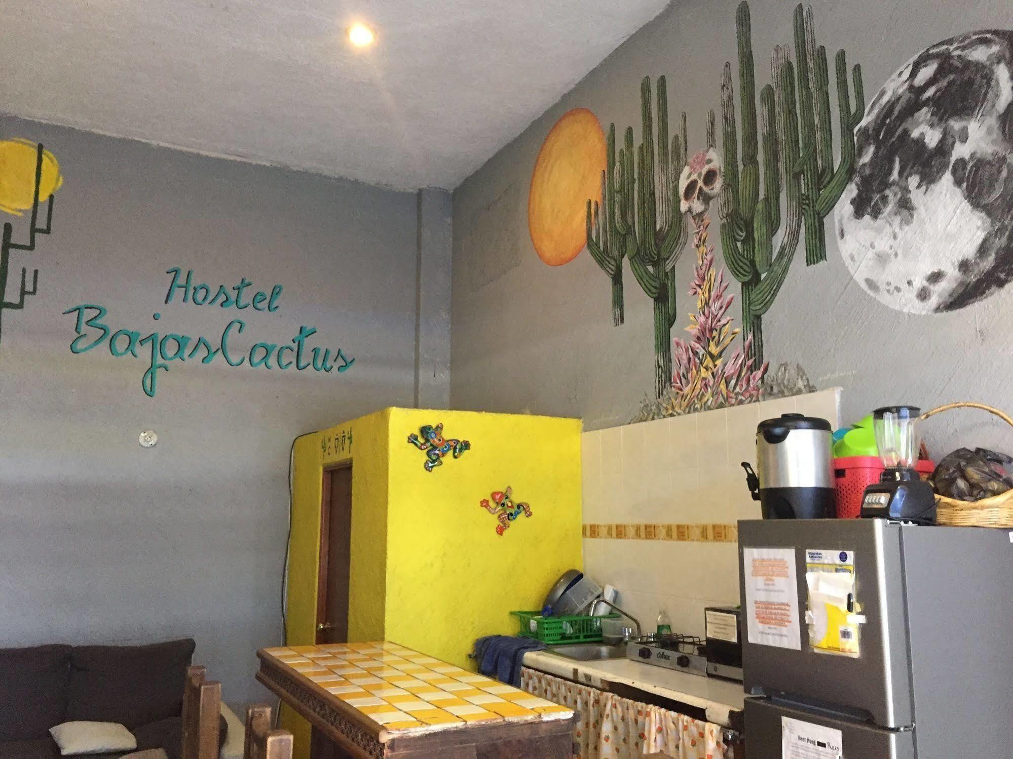 Bajas Cactus Hostel Cabo San Lucas Exteriér fotografie