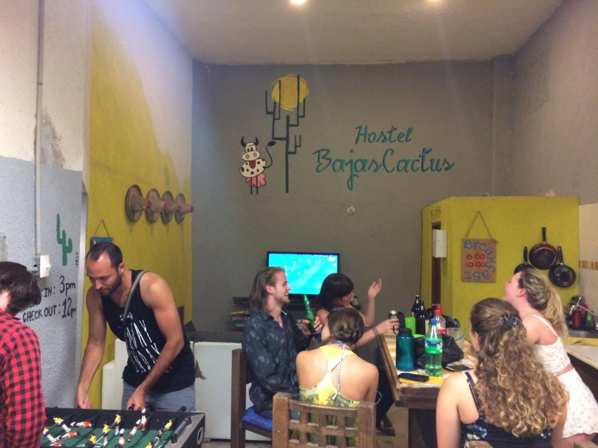 Bajas Cactus Hostel Cabo San Lucas Exteriér fotografie