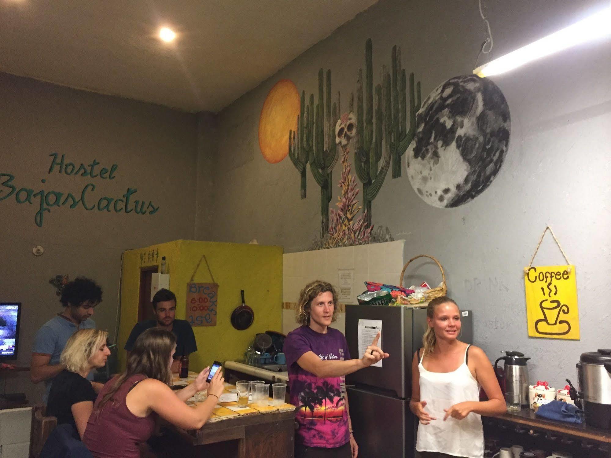 Bajas Cactus Hostel Cabo San Lucas Exteriér fotografie