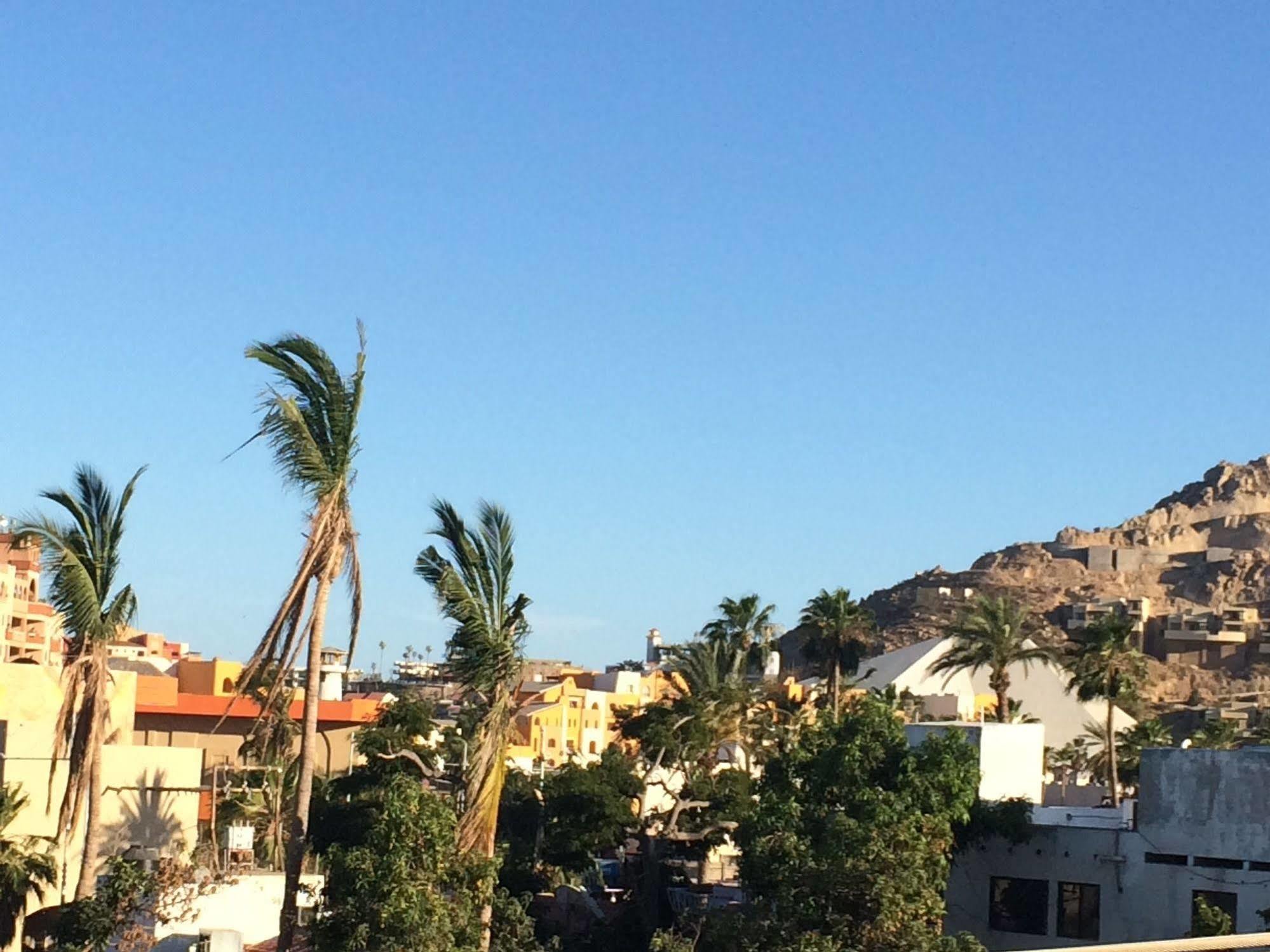 Bajas Cactus Hostel Cabo San Lucas Exteriér fotografie