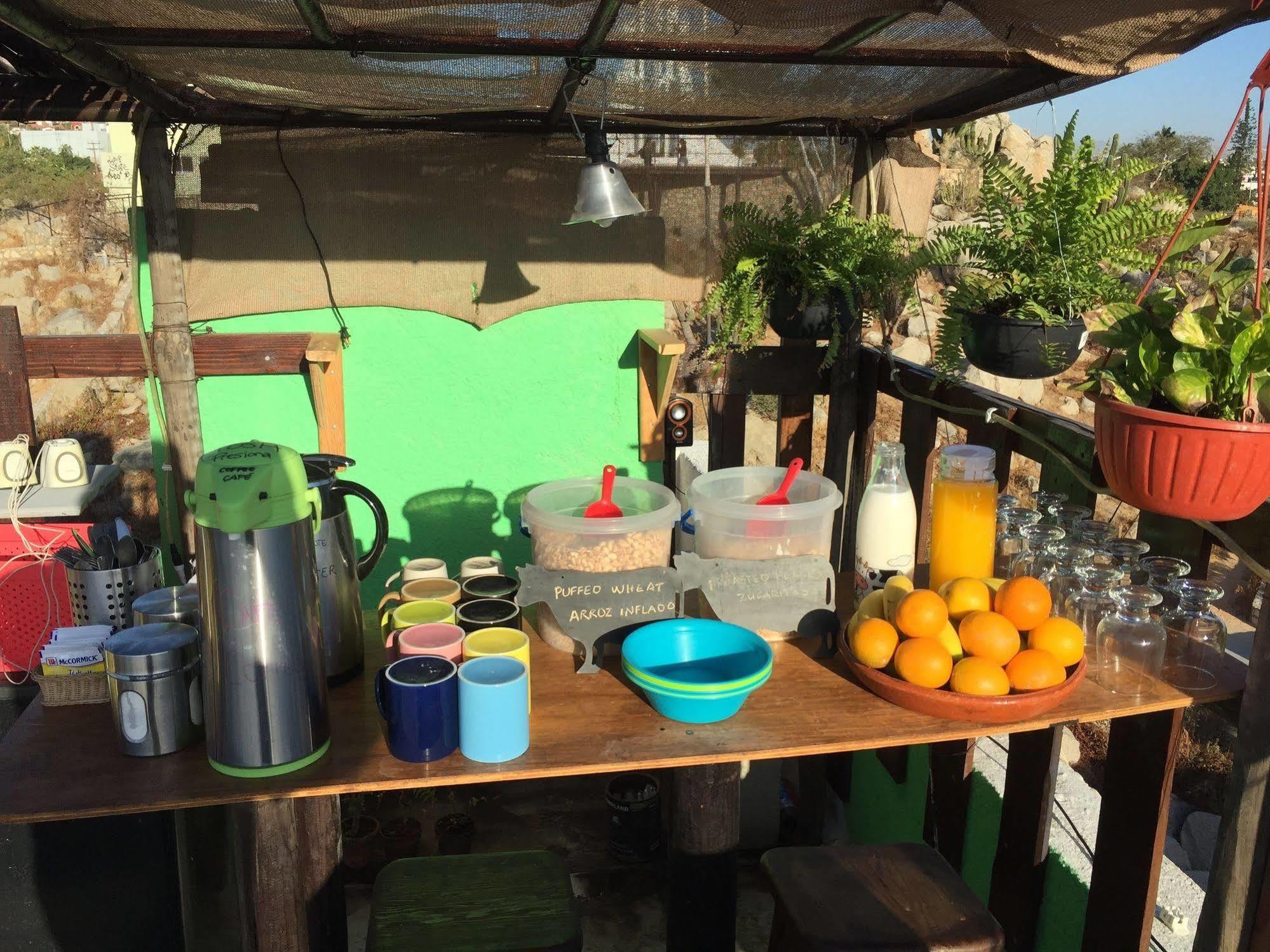 Bajas Cactus Hostel Cabo San Lucas Exteriér fotografie