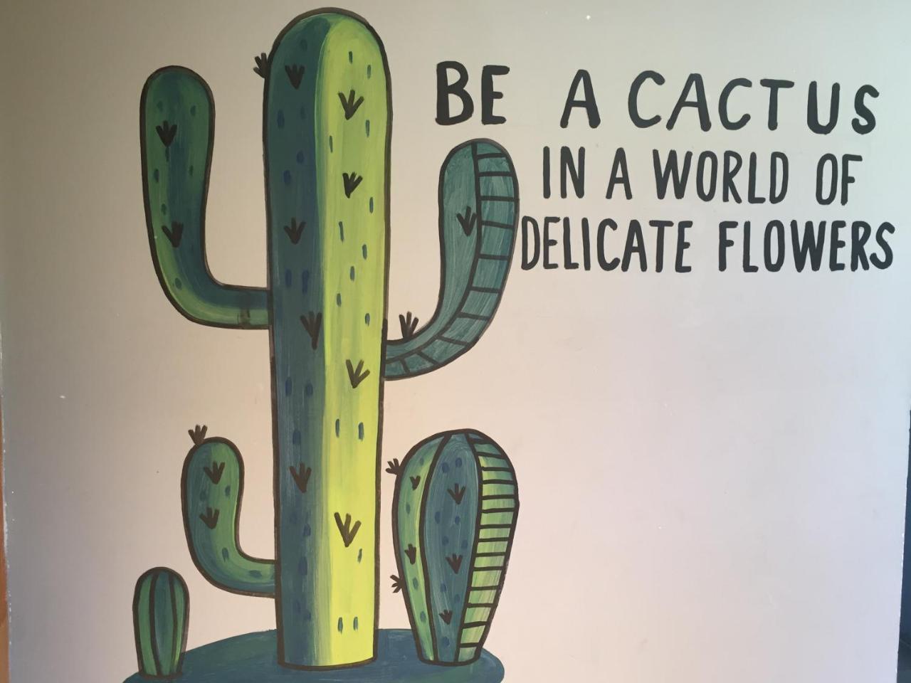 Bajas Cactus Hostel Cabo San Lucas Exteriér fotografie