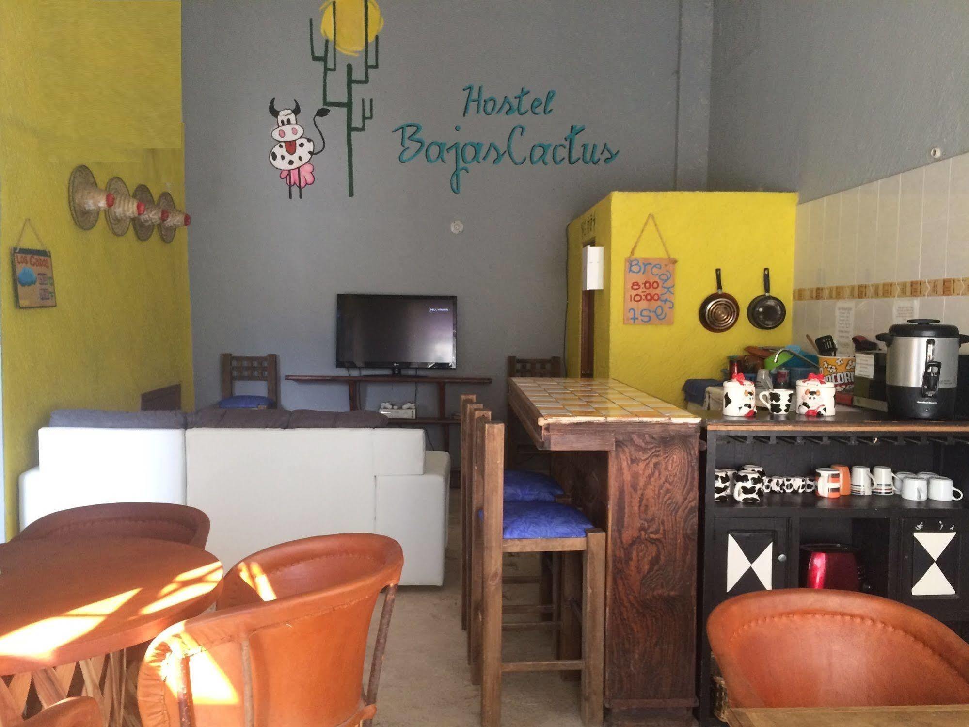 Bajas Cactus Hostel Cabo San Lucas Exteriér fotografie