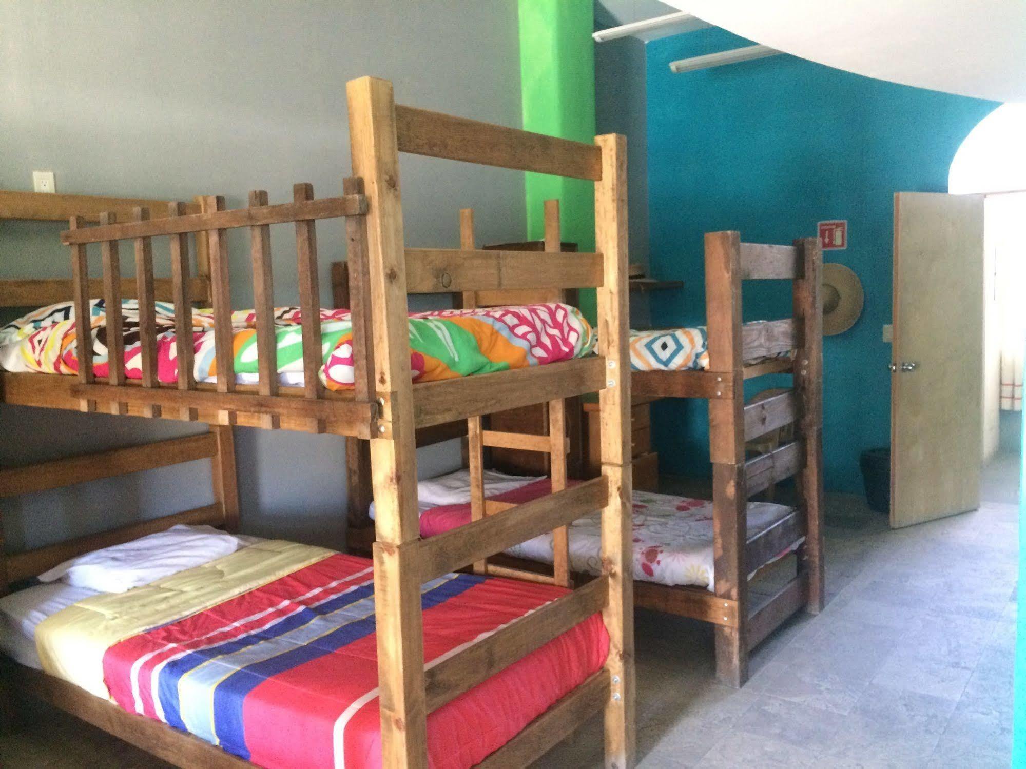 Bajas Cactus Hostel Cabo San Lucas Exteriér fotografie