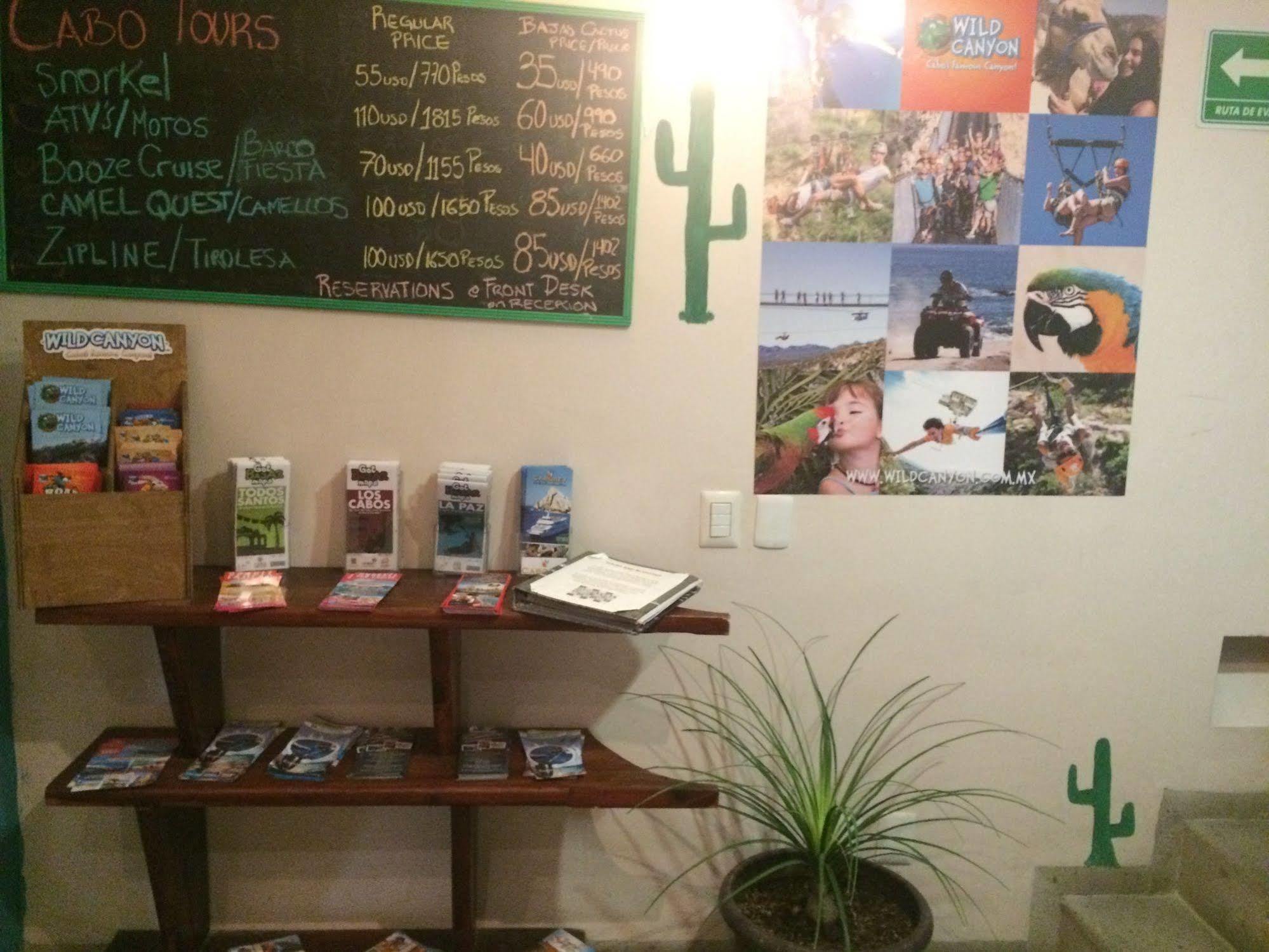 Bajas Cactus Hostel Cabo San Lucas Exteriér fotografie
