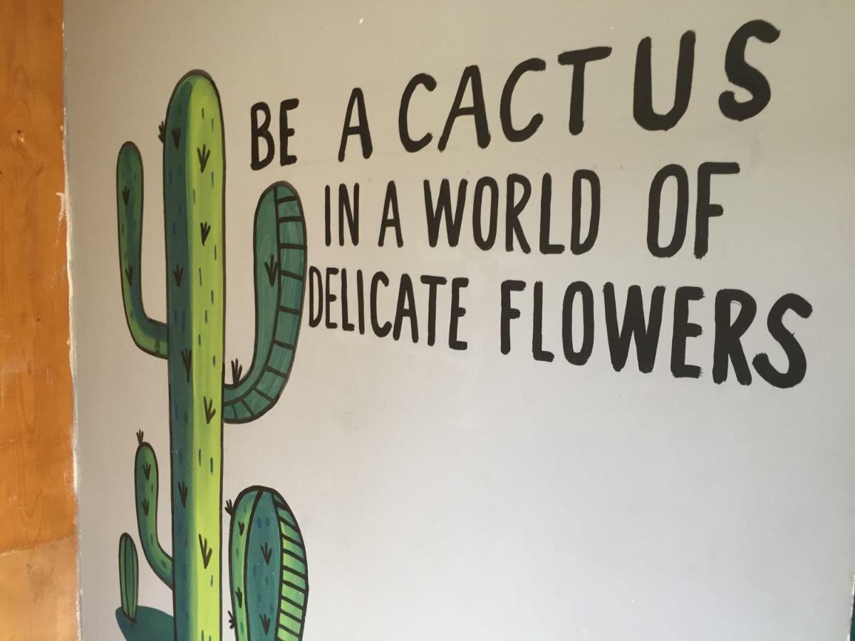 Bajas Cactus Hostel Cabo San Lucas Exteriér fotografie
